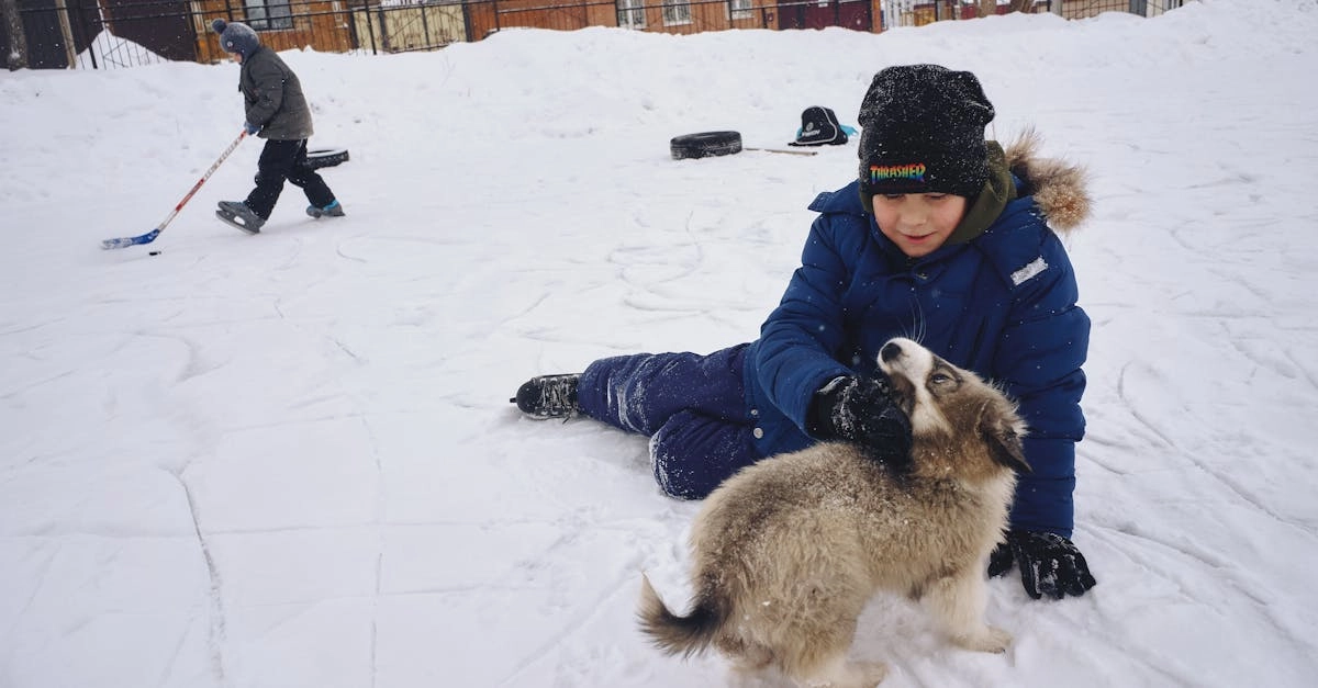 Слот The Dog House - путь к признанию и игровому успеху